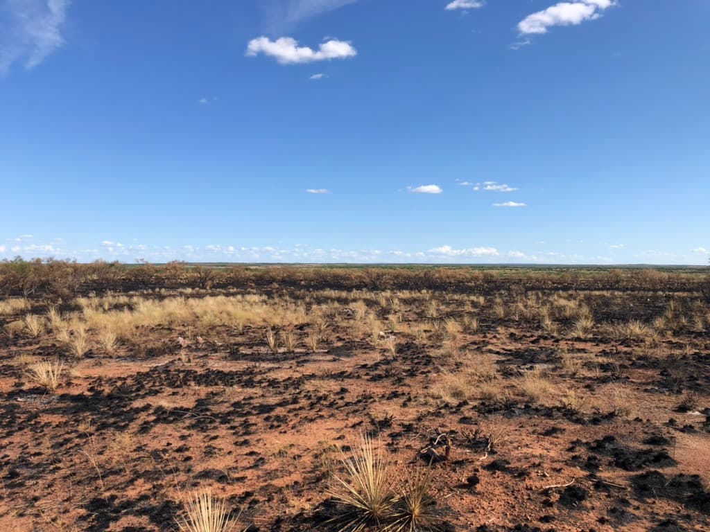 West Texas Controlled Burn